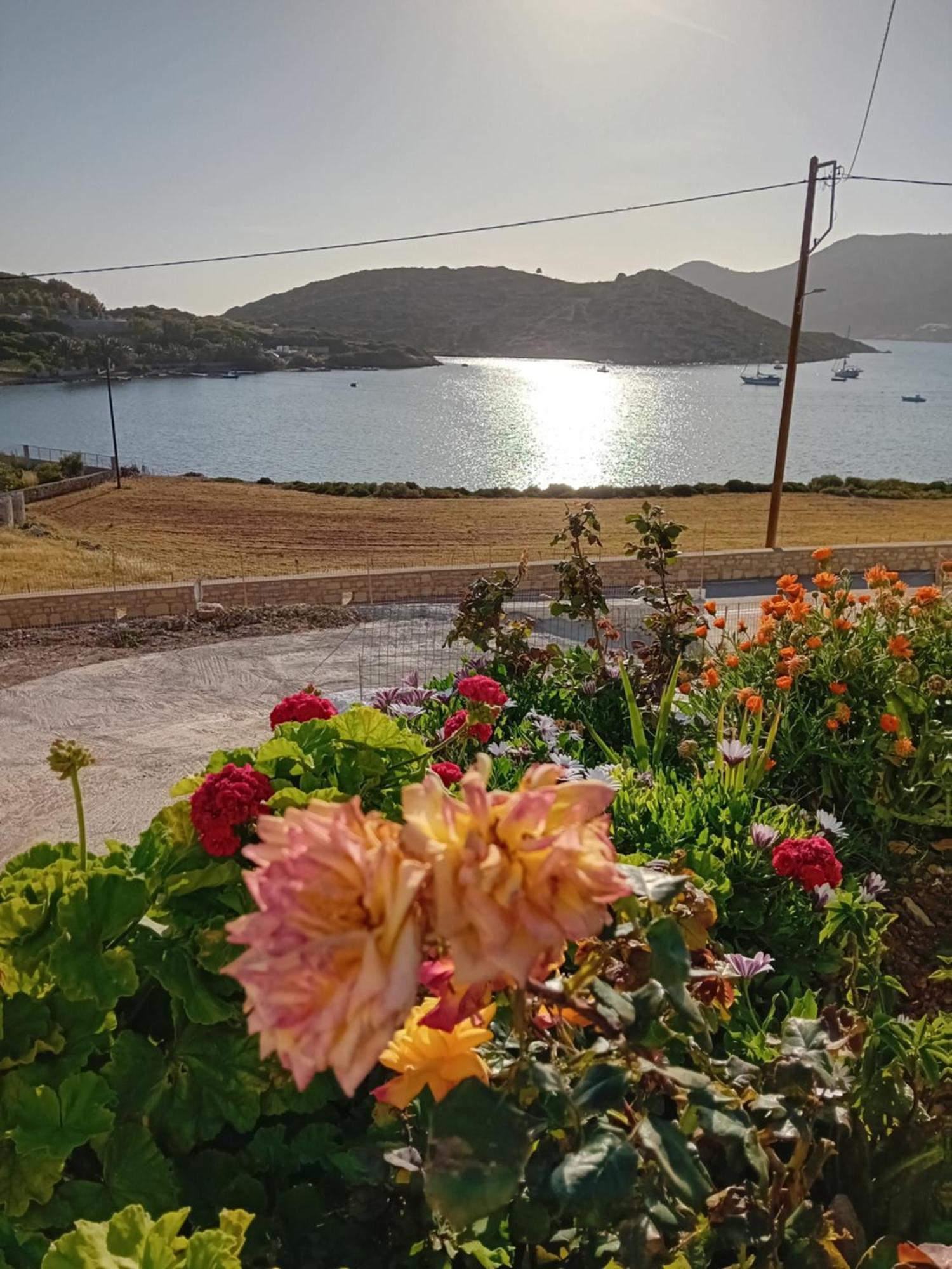 Aggeliki'S Apartments Lipsi Eksteriør bilde
